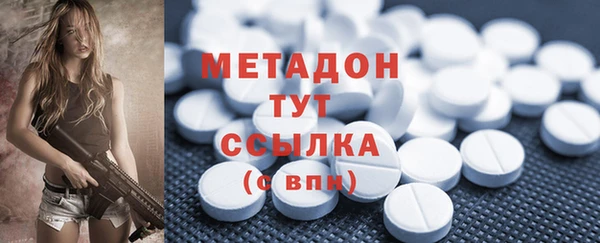 прущие грибы Вяземский