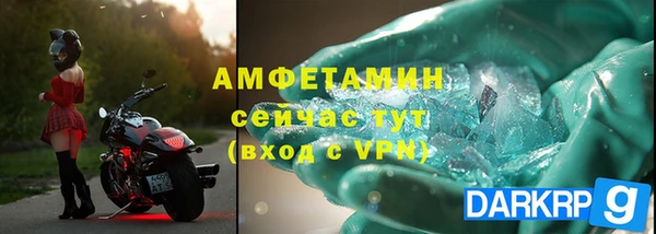 прущие грибы Вязники