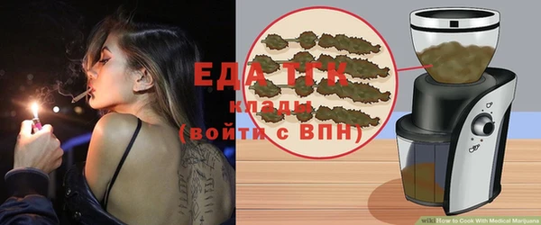 прущие грибы Вязники