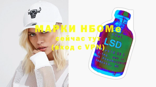 прущие грибы Вяземский