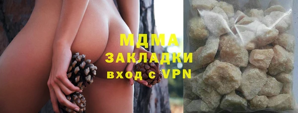 прущие грибы Вязники