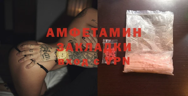 прущие грибы Вяземский