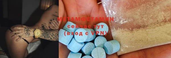прущие грибы Вязники