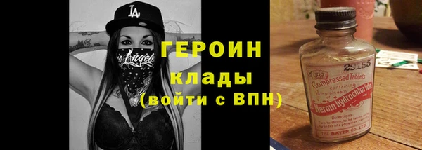 прущие грибы Вязники