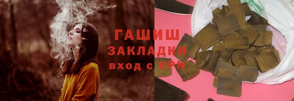 прущие грибы Вязники