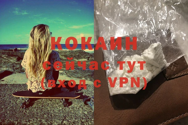 прущие грибы Вяземский