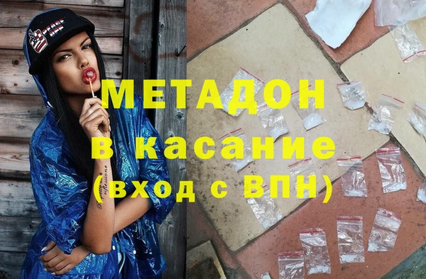 прущие грибы Вязники