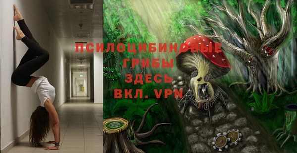 прущие грибы Вяземский