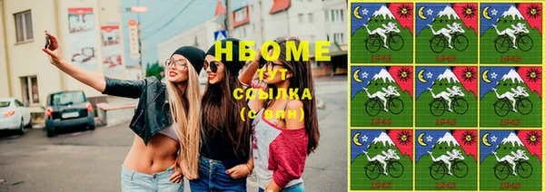прущие грибы Вяземский
