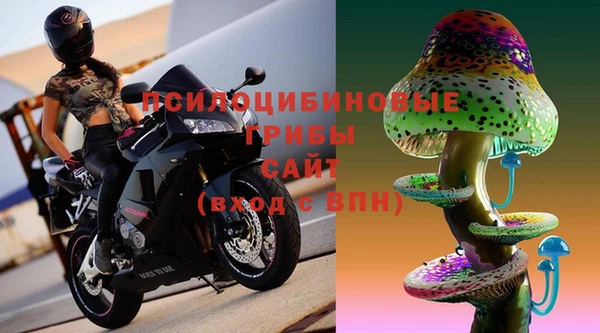 прущие грибы Вяземский