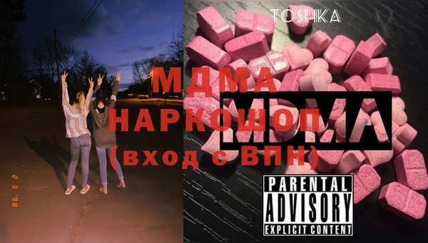 прущие грибы Вязники