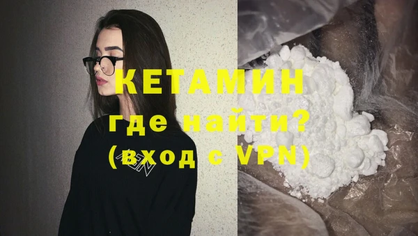 прущие грибы Вязники