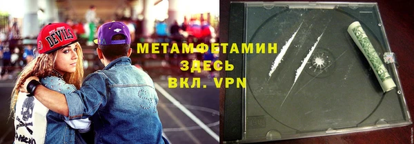 прущие грибы Вяземский