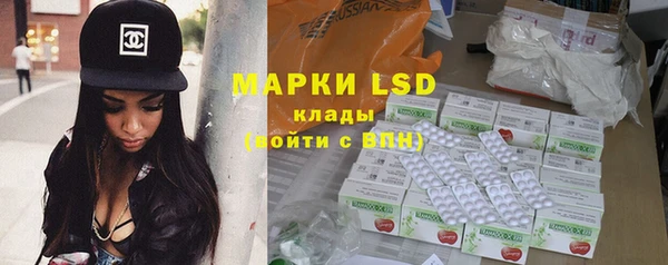 прущие грибы Вязники