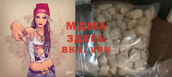 прущие грибы Вязники